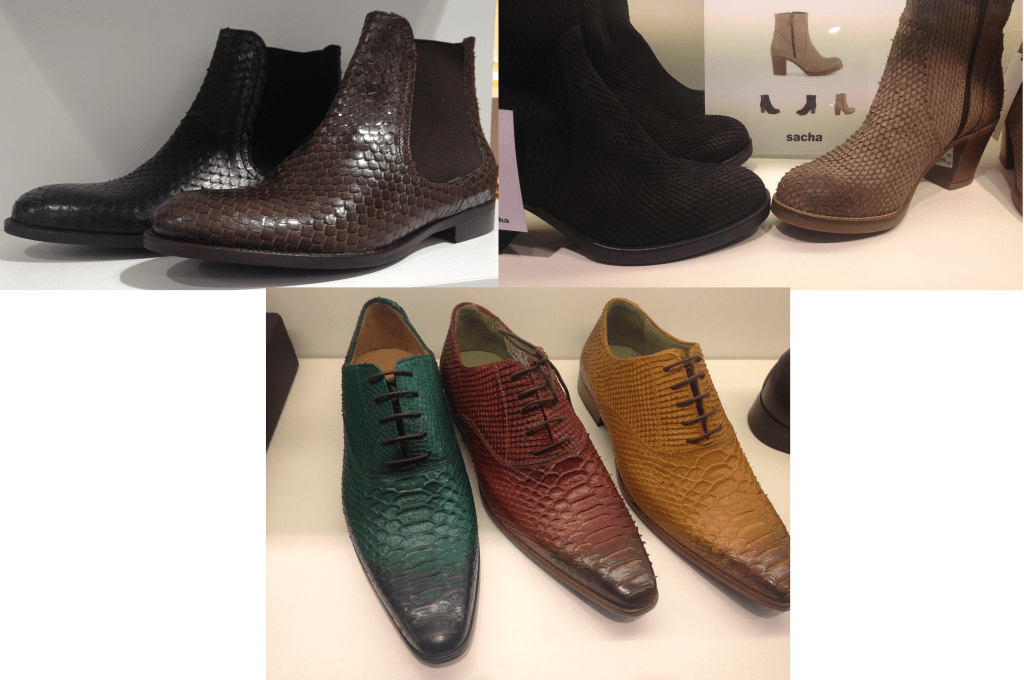 chaussures en peau de dragon