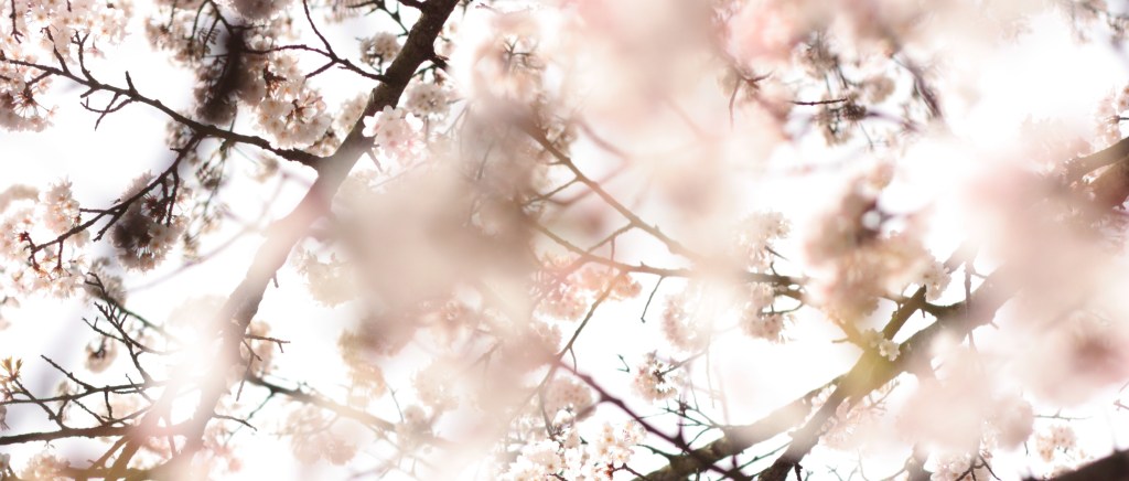 1Q84 de Haruki&nbsp;Murakami