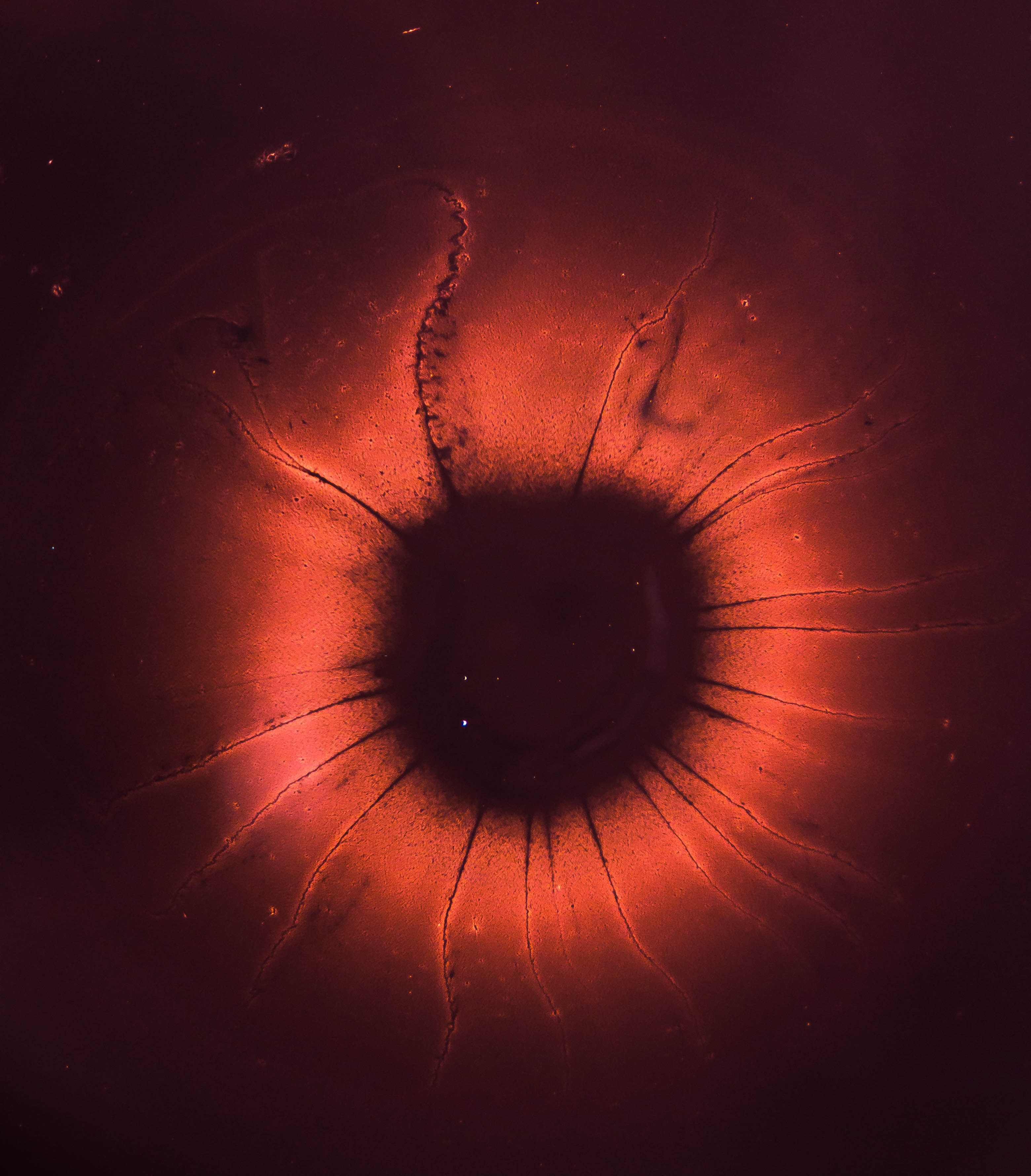 joel-filipe-rG1LNUFgJhI-unsplash